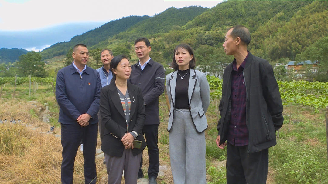 王慧敏到五团镇走访调研_政务要闻_城步苗族自治县人民政府