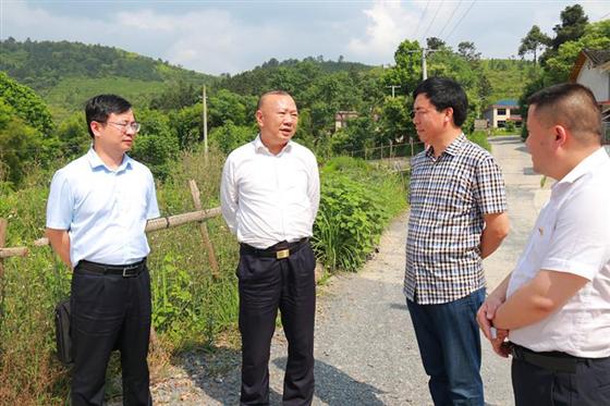 湖南南山國家公園管理局黨委書記,城步縣委書記羅建南在儒林鎮龍煩邋